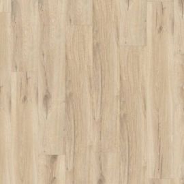 1454 Daintree Natural
